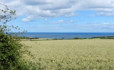 Lythe Camping & Caravan Park