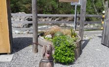 Gurtnellen Stellplatz